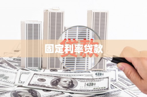 新野固定利率贷款