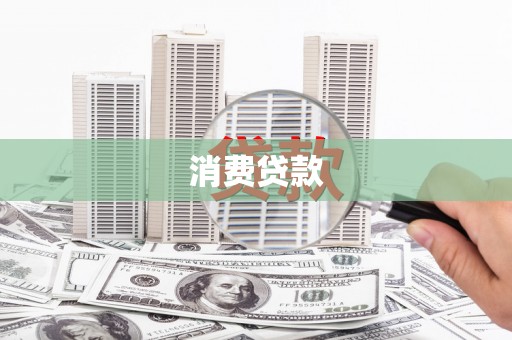 新野消费贷款