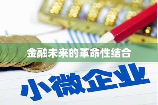 新野金融未来的革命性结合