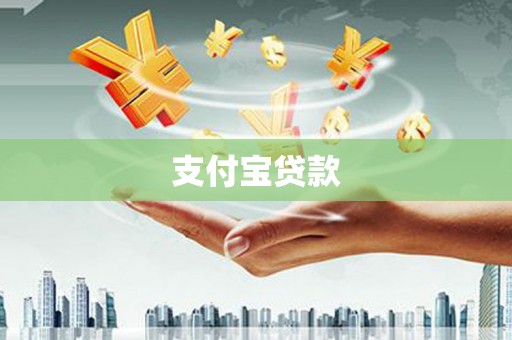 新野支付宝贷款