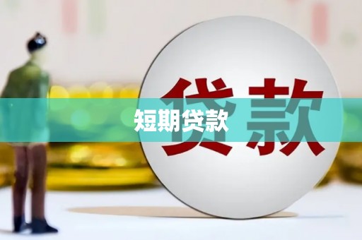 新野短期贷款