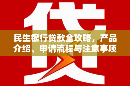 新野民生银行贷款全攻略，产品介绍、申请流程与注意事项